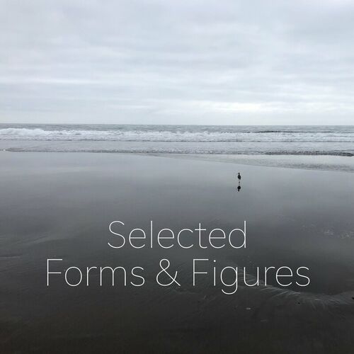 image cover: Various Artists - Selected Forms & Figures 2023 on Forms & Figures