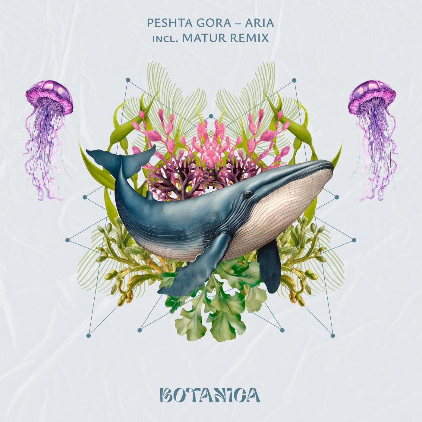image cover: Peshta Gora - Aria on Botanica