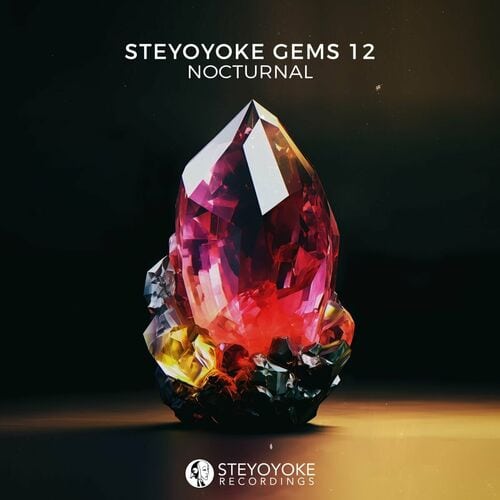 image cover: Various Artists - Steyoyoke Gems Nocturnal 12 on Steyoyoke
