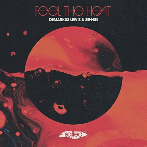 image cover: Demarkus Lewis - Feel The Heat on SALTED MUSIC