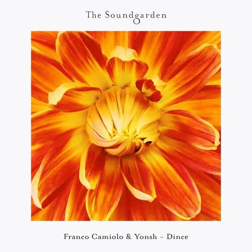 image cover: Franco Camiolo - Dince on The Soundgarden