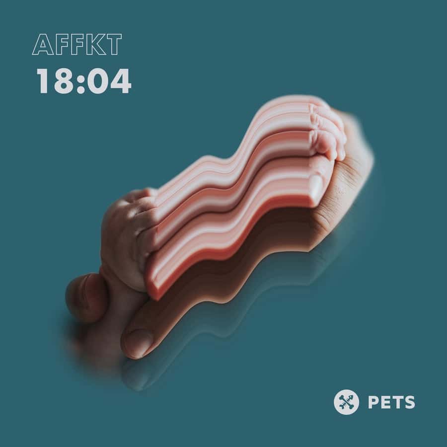 image cover: AFFKT - 18_04 EP on Pets Recordings