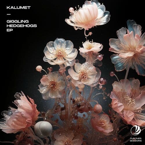 image cover: Kalumet - Giggling Hedgehogs on Fur:ther Sessions