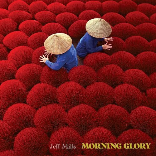 Release Cover: Morning Glory Download Free on Electrobuzz