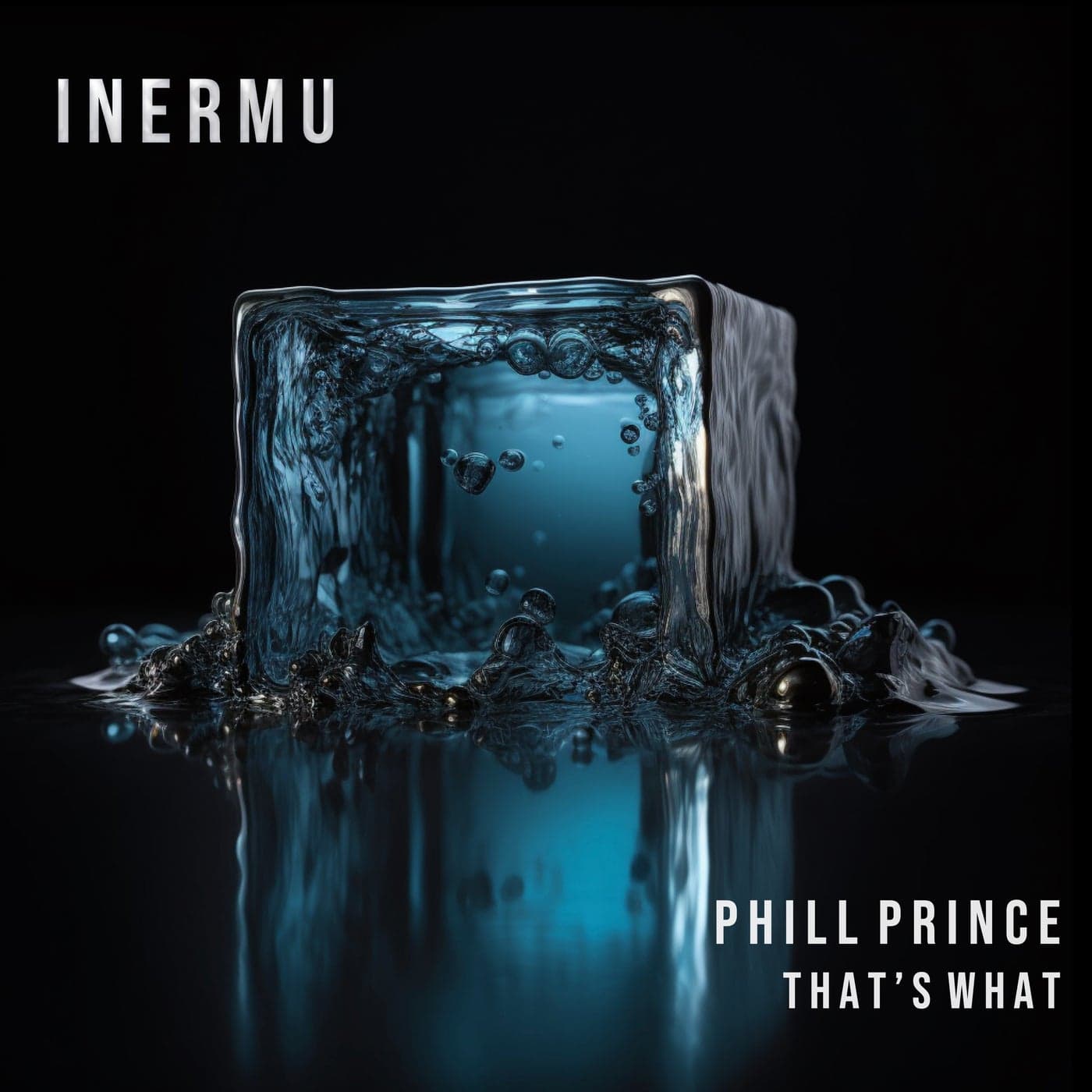 image cover: Phill Prince - That's What on Inermu
