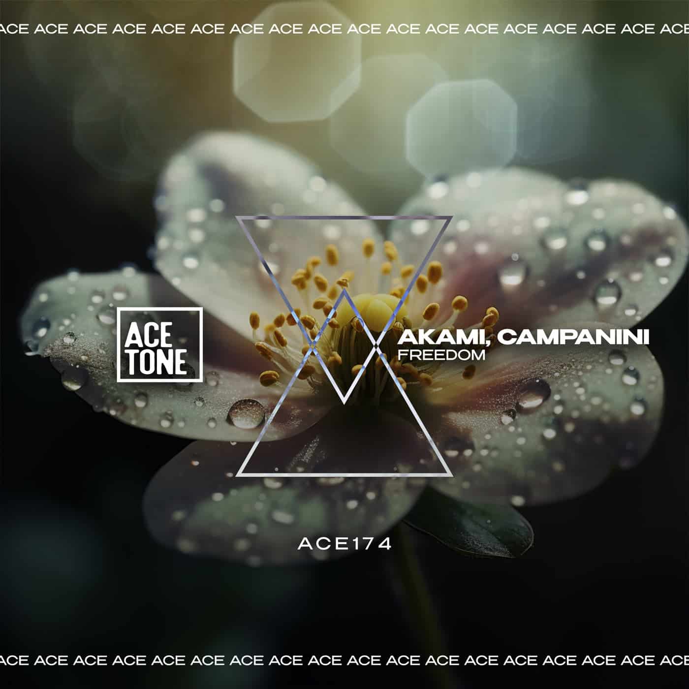 image cover: Akami, CAMPANINI - Freedom on Acetone