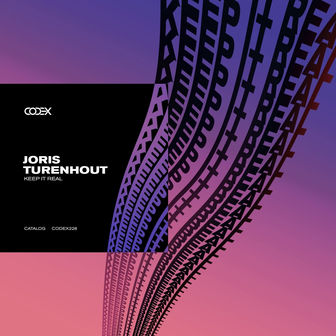 image cover: Joris Turenhout - Keep It Real on Codex Recordings