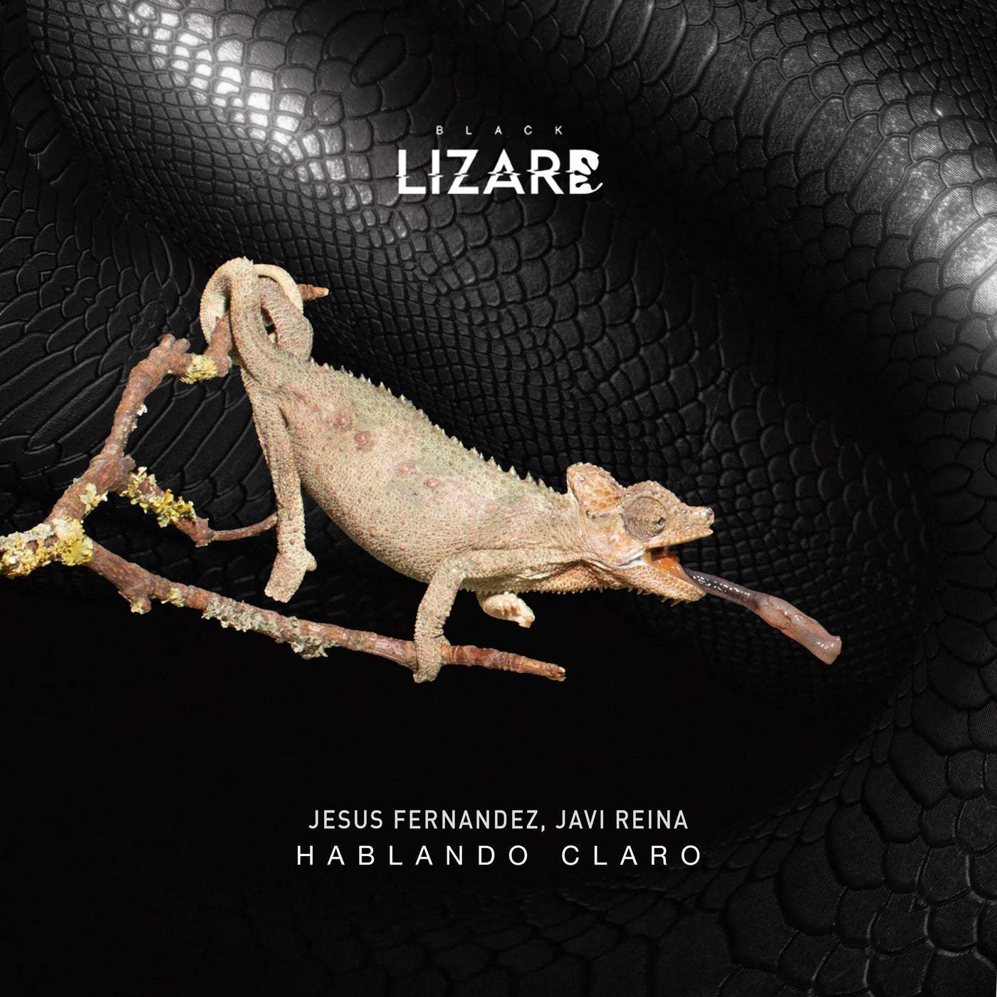 image cover: Javi Reina, Jesus Fernandez - Hablando Claro on Black Lizard Records