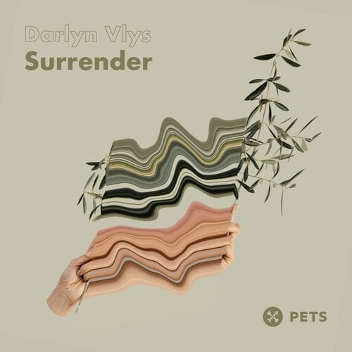 image cover: Darlyn Vlys - Surrender EP on Pets Recordings