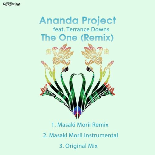 image cover: Ananda Project - The One (Remix) on Nite Grooves