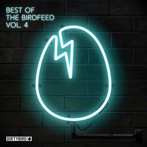 image cover: Various Artists - Best of the Birdfeed, Vol. 4 on DIRTYBIRD