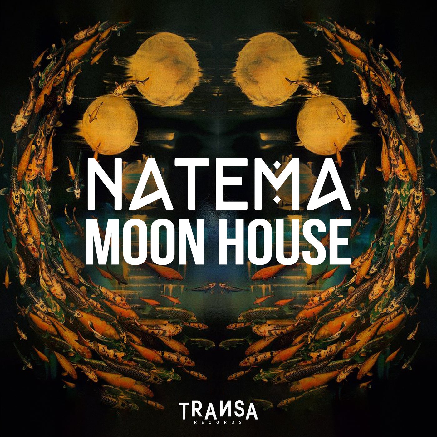 image cover: Natema - Moon House on TRANSA RECORDS