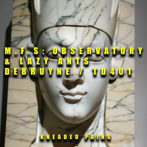image cover: M.F.S: Observatory - DEBRUYNE / TD401 on Kneaded Pains