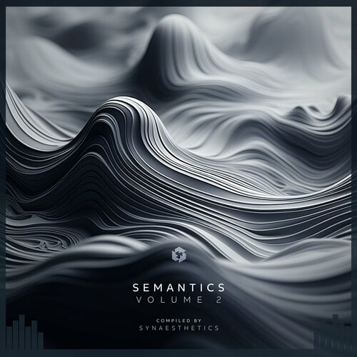 image cover: Various Artists - Semantics, Vol. 2 on Techgnosis Records
