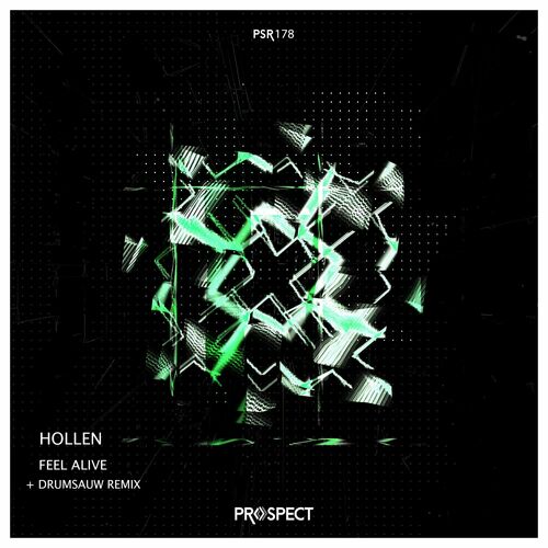 image cover: Hollen - Feel Alive on Prospect Records