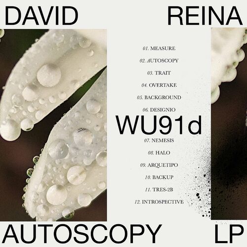 image cover: David Reina - Autoscopy LP on Warm Up Recordings
