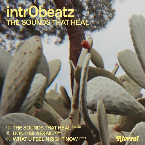 image cover: Intr0beatz - The Sounds That Heal on Aterral