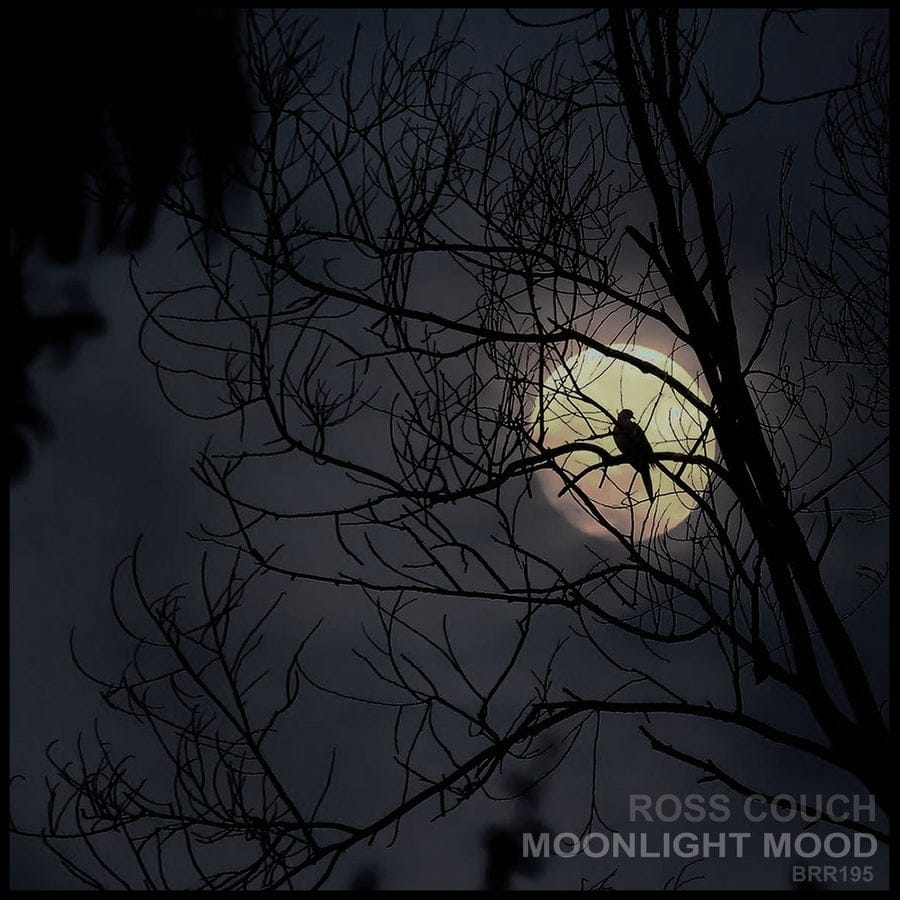 image cover: Ross Couch - Moonlight Mood on Body Rhythm Records