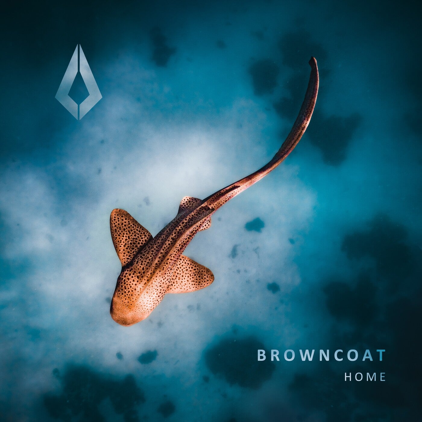 image cover: Browncoat - Home on Purified Records