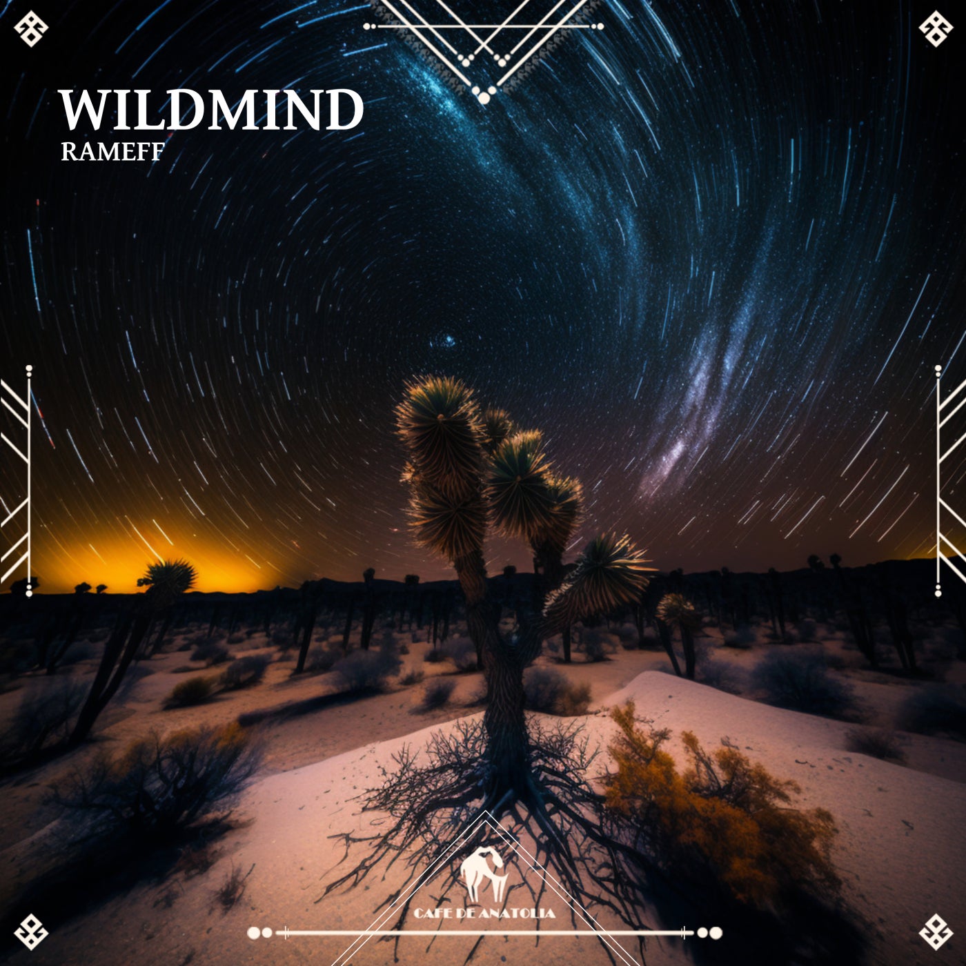 Release Cover: Wildmind Download Free on Electrobuzz