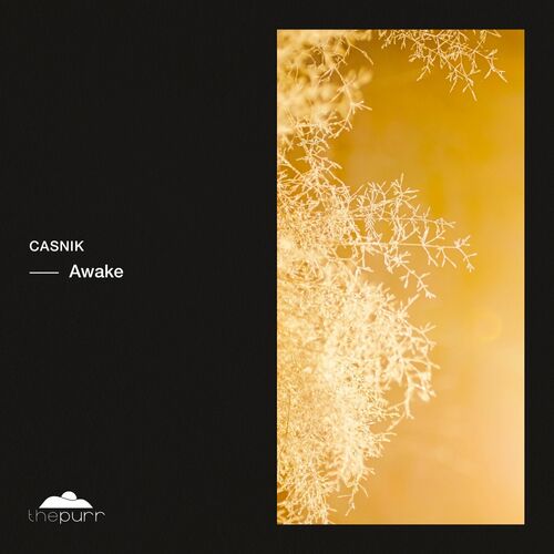 image cover: Casnik - Awake on The Purr