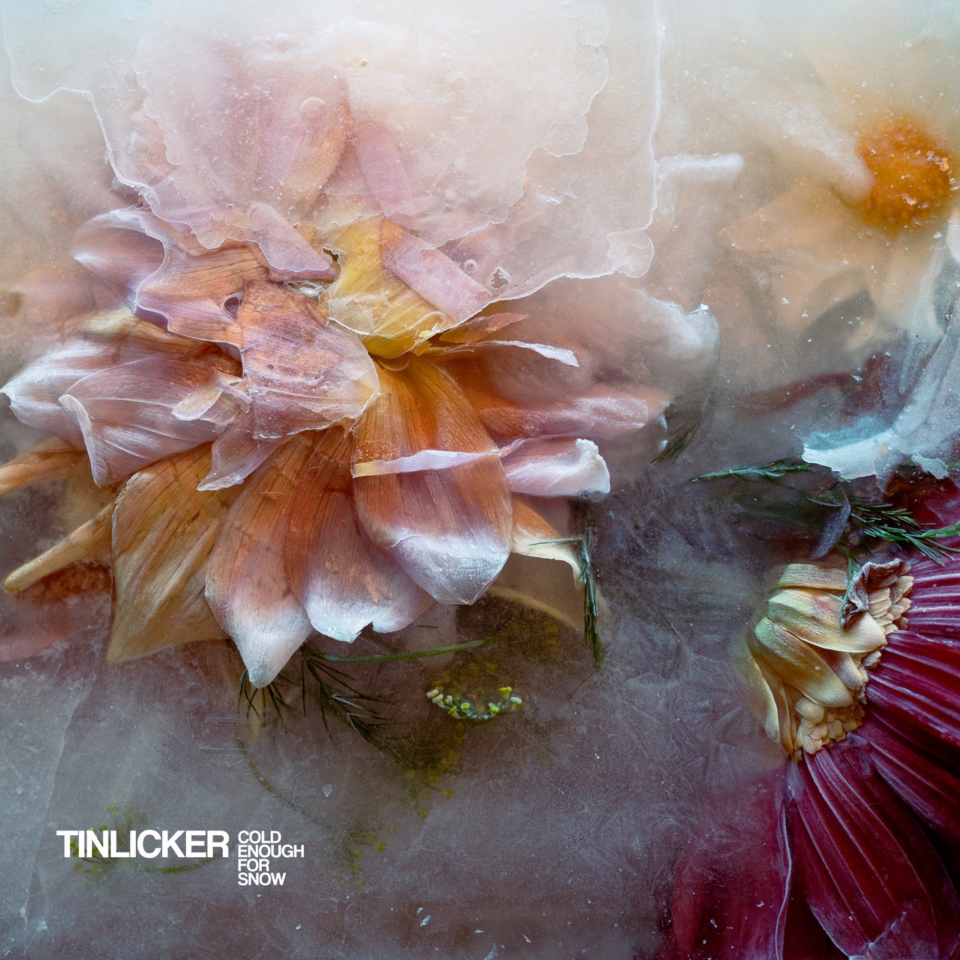image cover: Tinlicker - Cold Enough For Snow (Extended Version) on [PIAS] ÉLECTRONIQUE