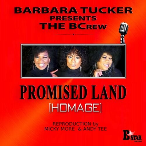 Release Cover: Promised Land (Homage) Download Free on Electrobuzz