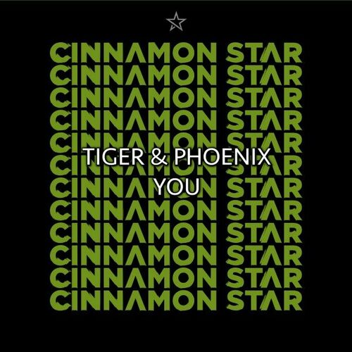 image cover: Tiger & Phoenix - You on Cinnamon Star