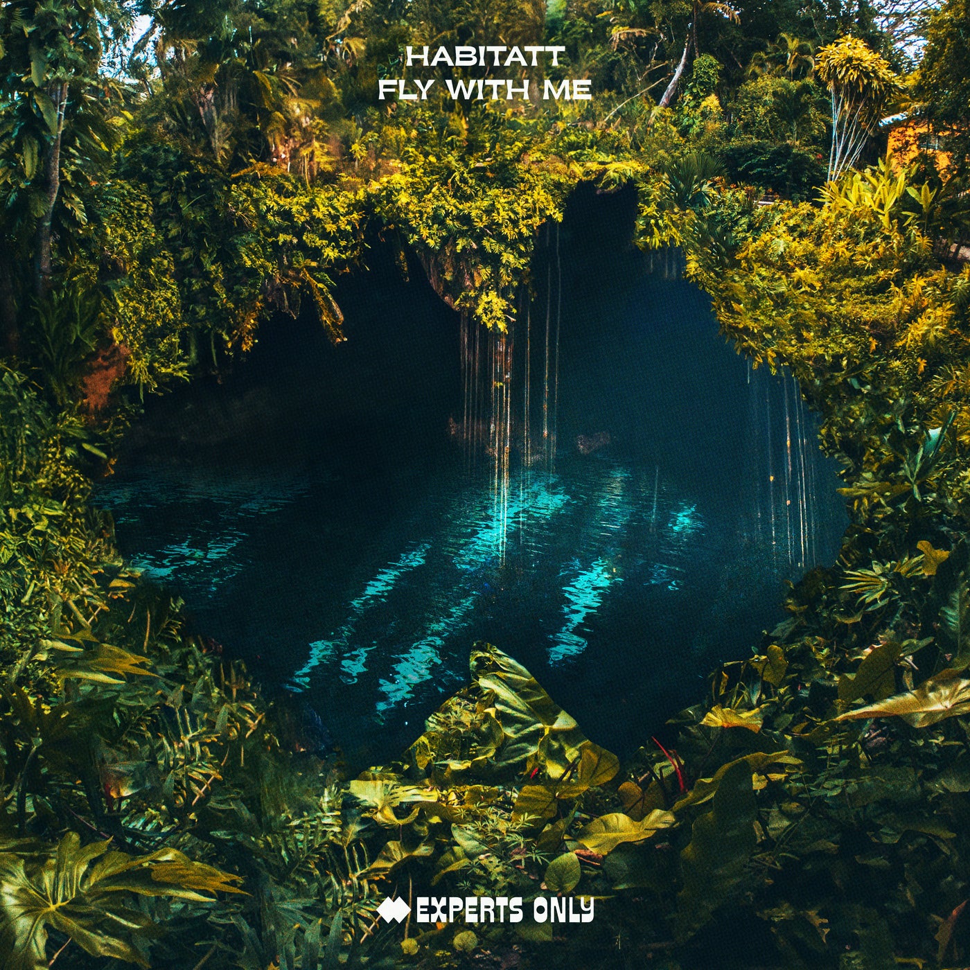 image cover: Habitatt - Fly With Me - Extended Mix on Experts Only