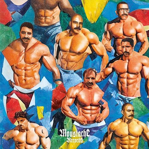 image cover: Various Artists - You Can Trust a Man with a Moustache Vol.5 on Moustache Records