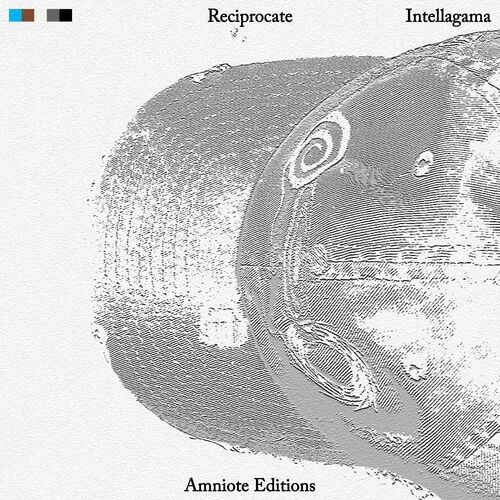 image cover: Intellagama - Reciprocate on Amniote Editions