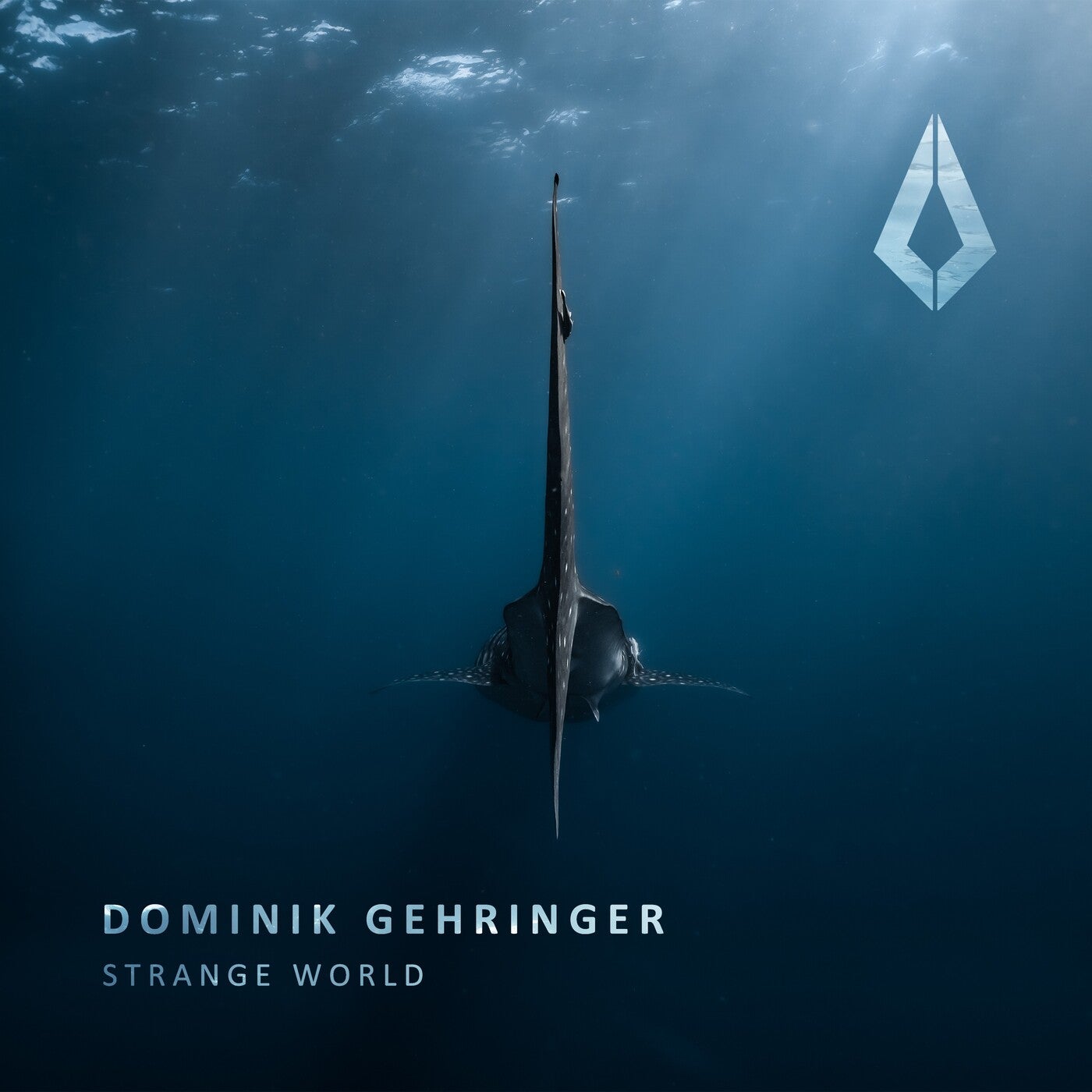 image cover: Dominik Gehringer - Strange World on Purified Records