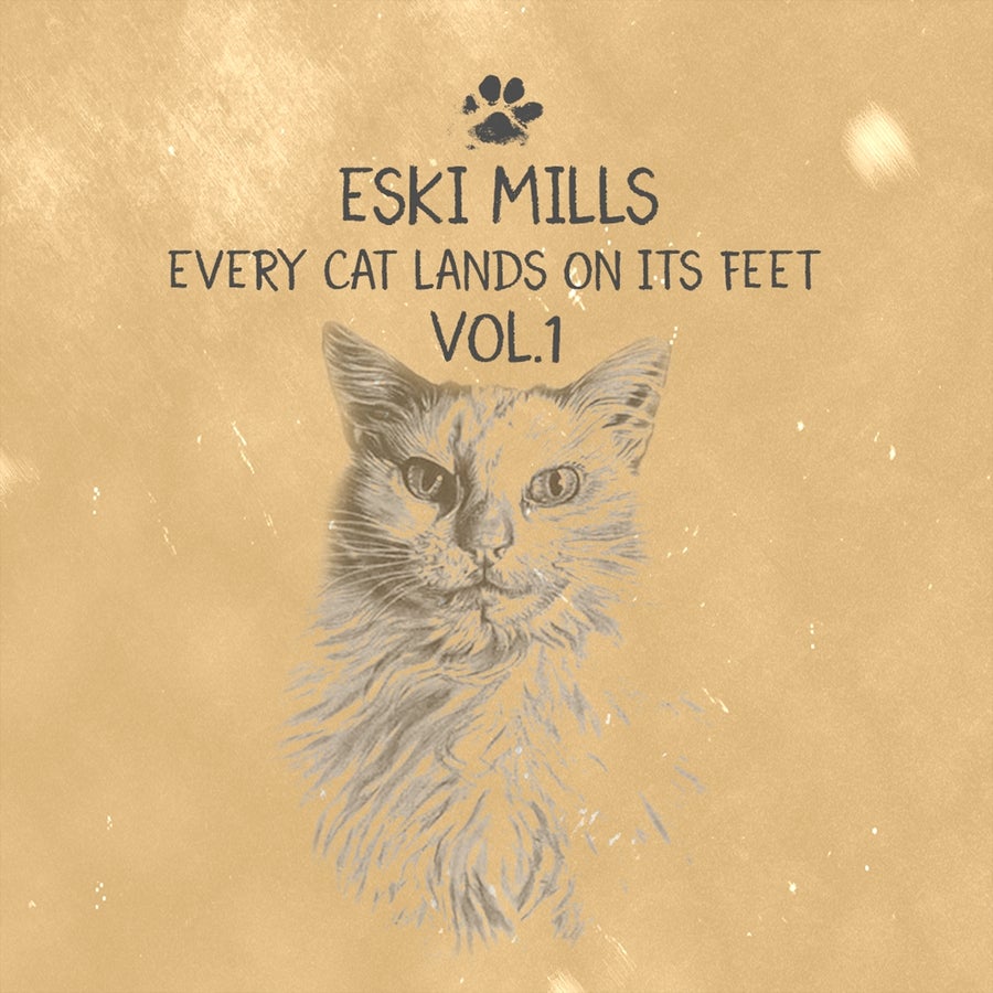 Release Cover: Every Cat Lands On Its Feet, Vol.1 Download Free on Electrobuzz