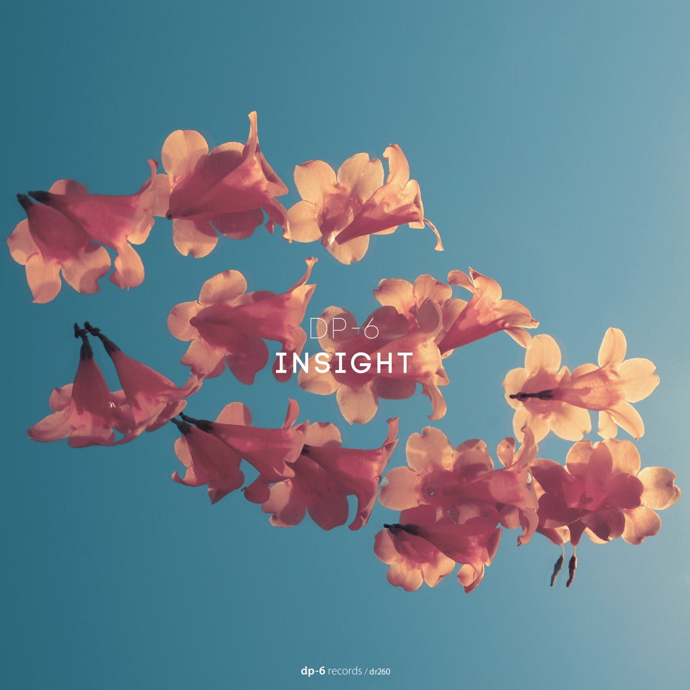 Release Cover: Insight Download Free on Electrobuzz