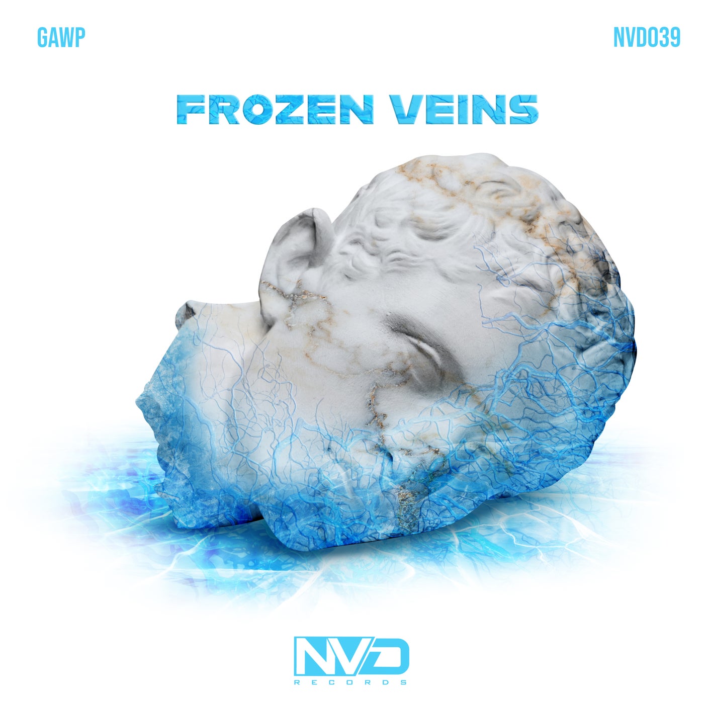 image cover: GAWP - Frozen Veins on NV'D Records