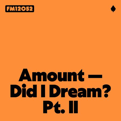 Release Cover: Did I Dream? Pt. II Download Free on Electrobuzz