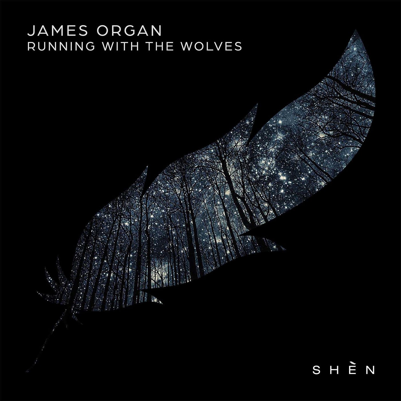 image cover: James Organ, Francis Waves & Kuuda - Running With The Wolves on SHÈN Recordings