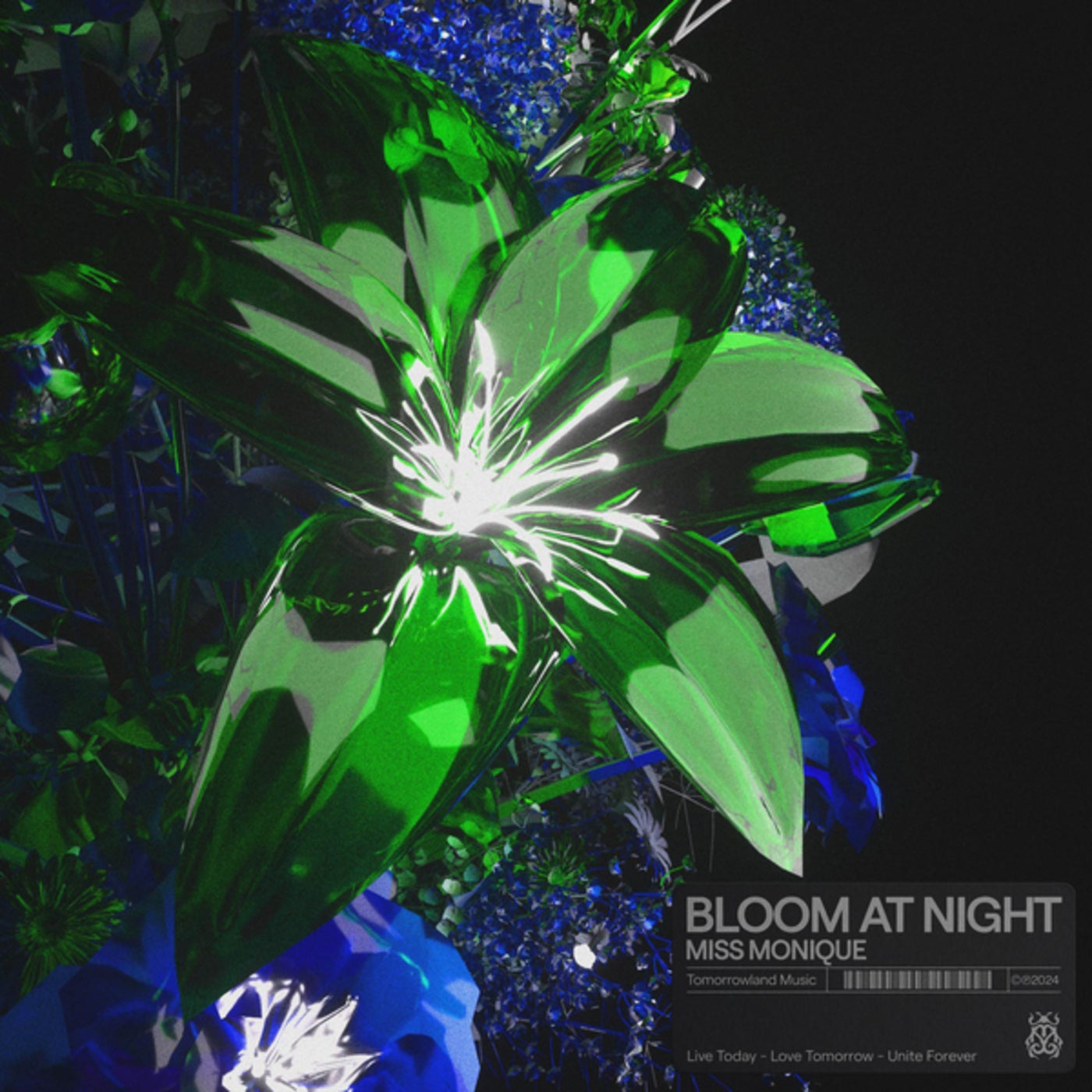 image cover: Miss Monique - Bloom At Night (Extended Mix) on Tomorrowland Music
