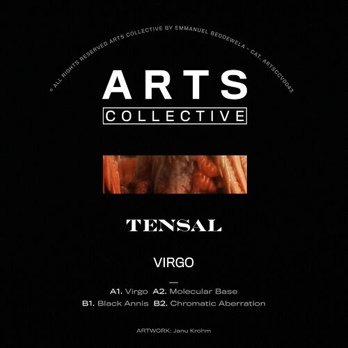 image cover: Tensal - Virgo on ARTS