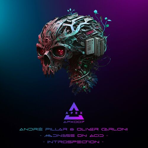 image cover: André Pillar - Madness on Acid on Apex
