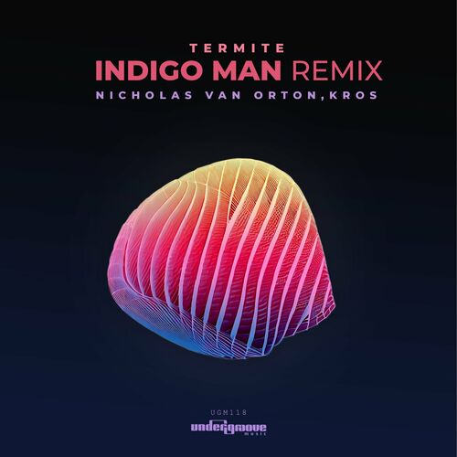 Release Cover: Termite Indigo Man Remix Download Free on Electrobuzz