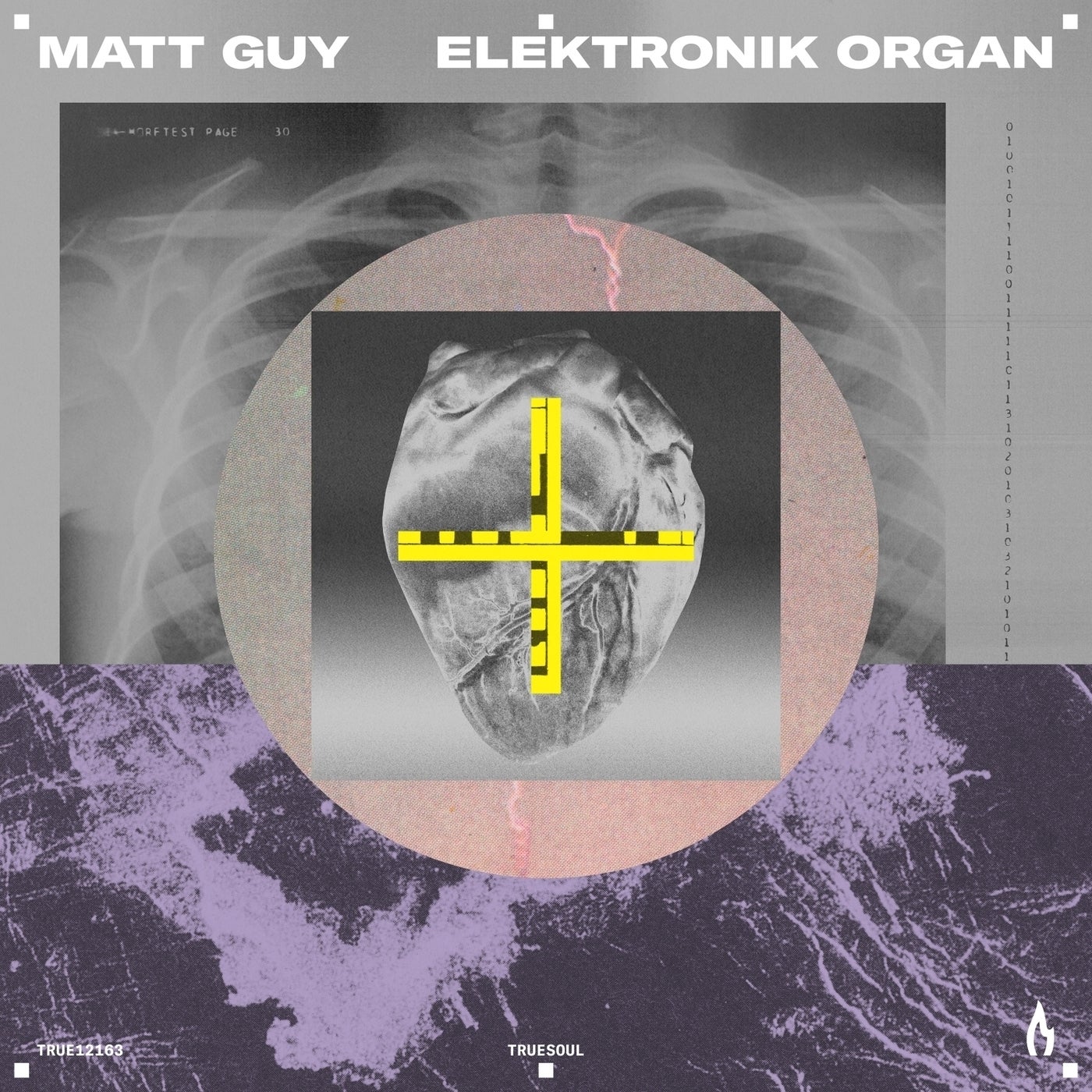 image cover: Matt Guy - Elektronik Organ on Truesoul
