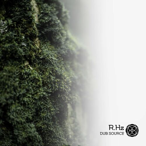 image cover: R.Hz - Dub Source on Echoshapes