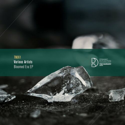 image cover: Various Artists - Bloomed Era EP on Dynamic Reflection