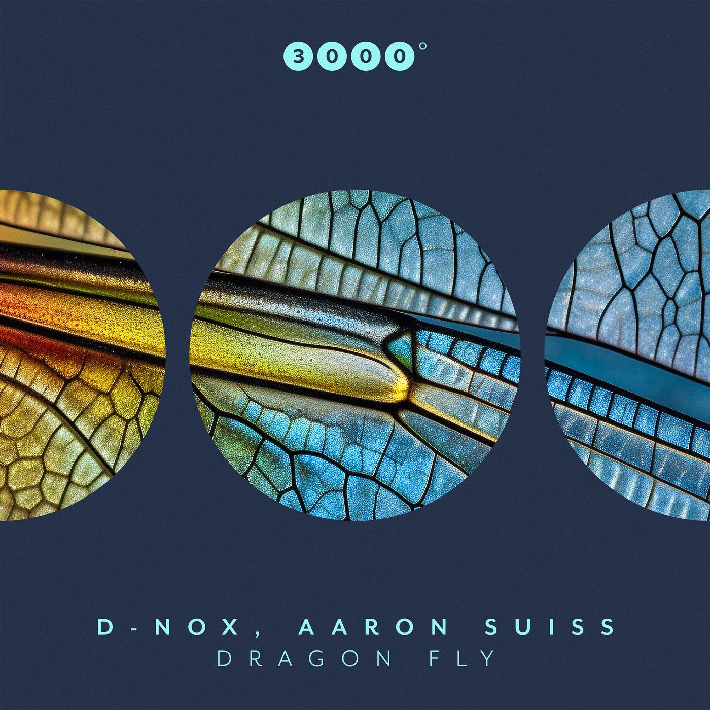 image cover: D-Nox, Aaron Suiss - Dragon Fly on 3000 Grad Records