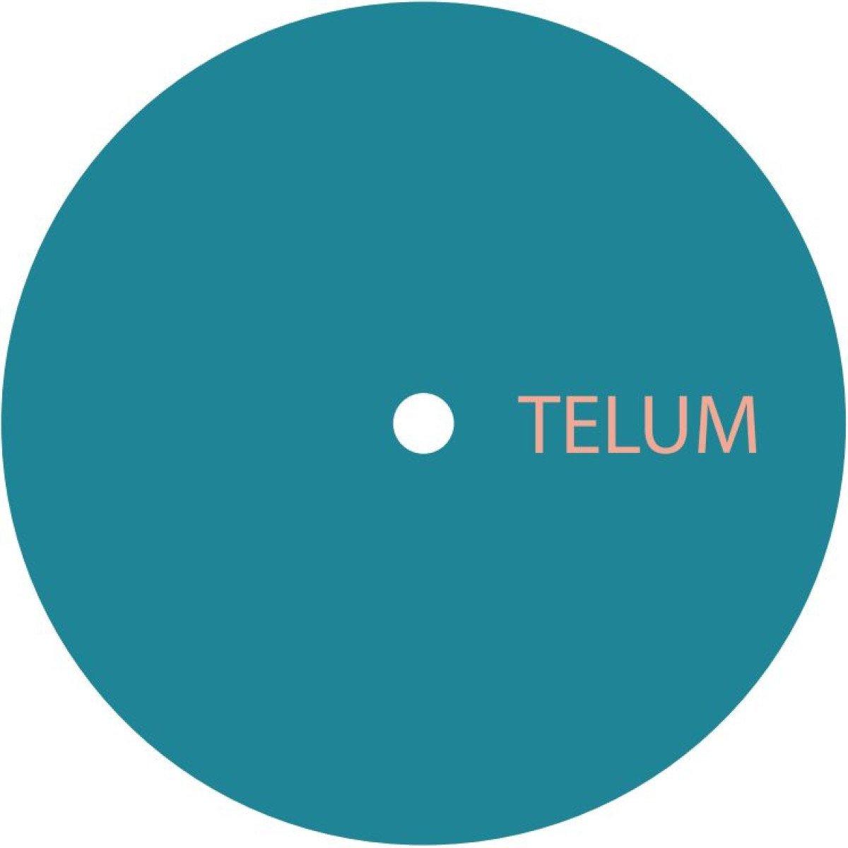 image cover: Unknown Artist (Telum) - Telum #12 on Telum