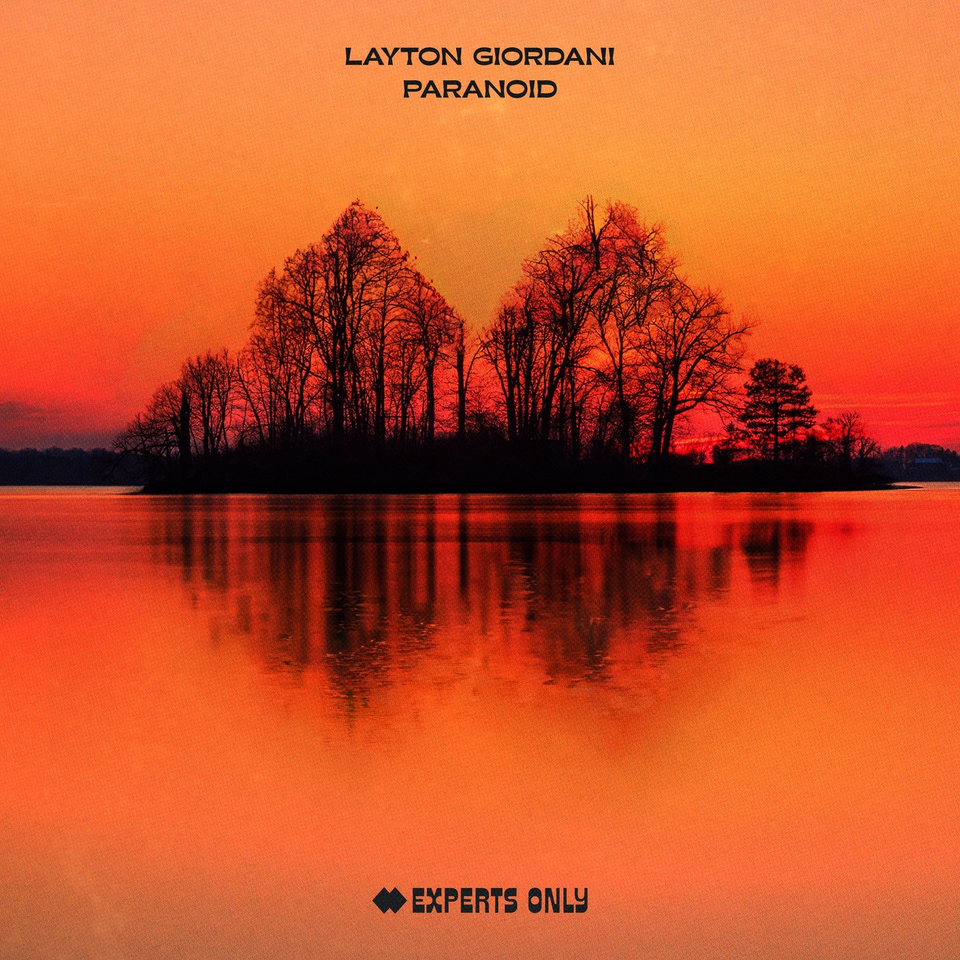 image cover: Layton Giordani - Paranoid - Extended Mix on Experts Only