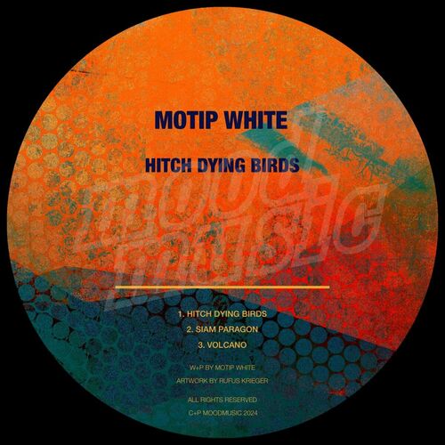 image cover: Motip White - Hitch Dying Birds on Moodmusic