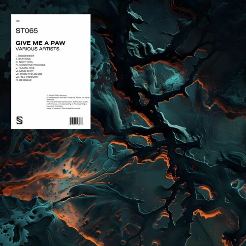 image cover: Various Artists - Give Me a Paw on STRND Records