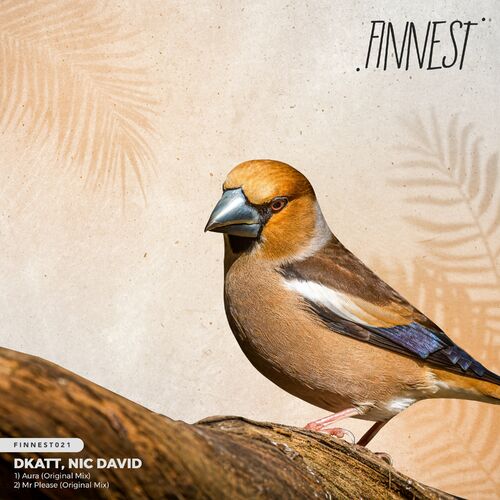 image cover: Dkatt - Aura on FINNEST